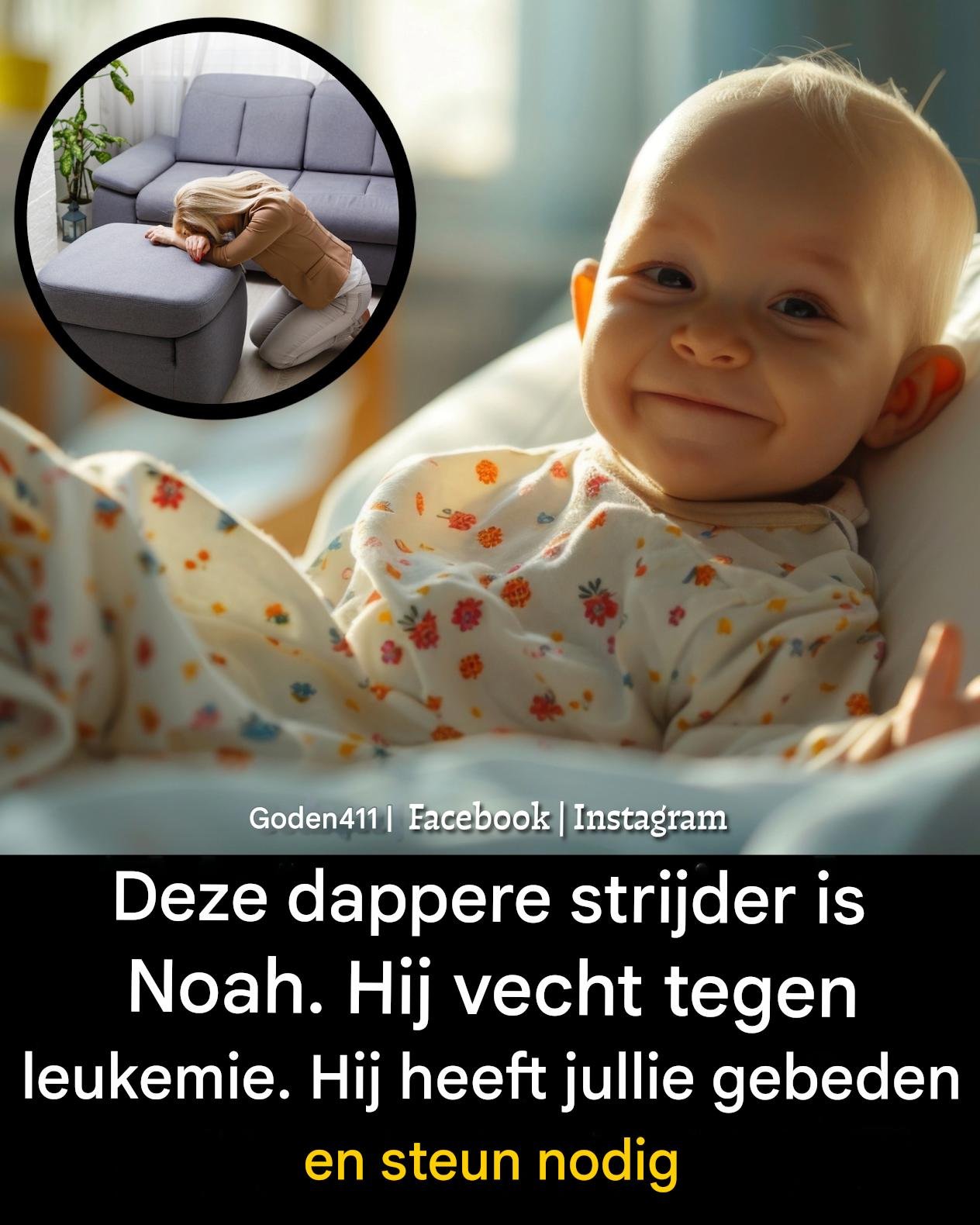 2684773b 3dbc 4c3e 983a daf644904fa4