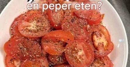 624570311 122112925581175385 438082841268897845 n