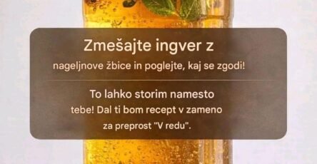 672683345 122106958946811758 6608262393982147770 n (1)