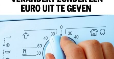 Enhance image text 202604191700 768x768