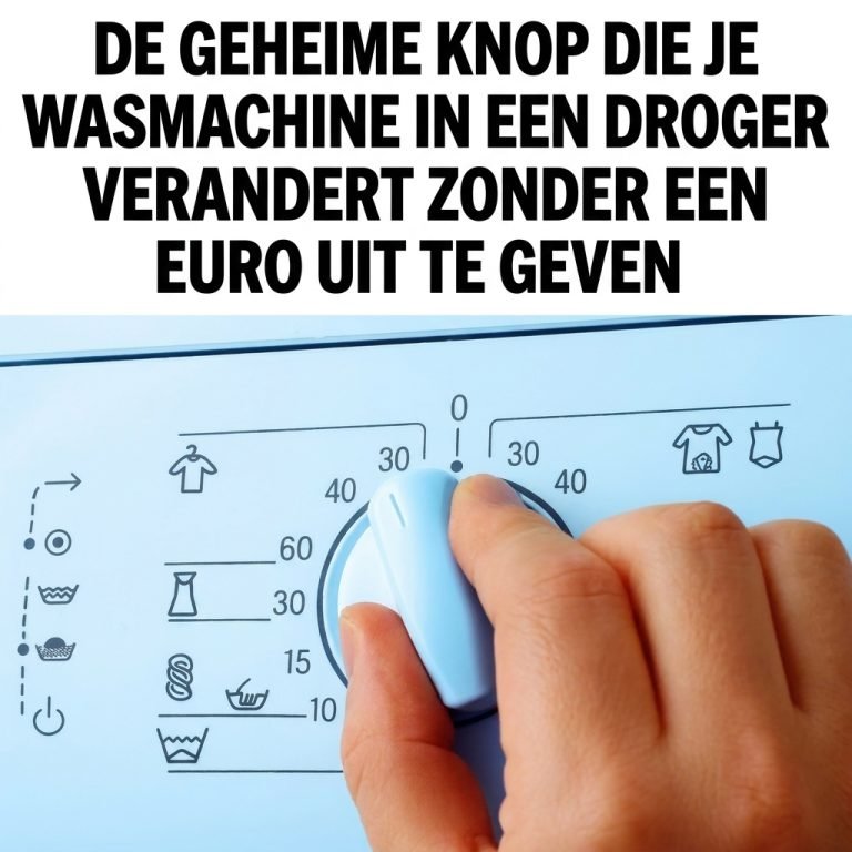 Enhance image text 202604191700 768x768