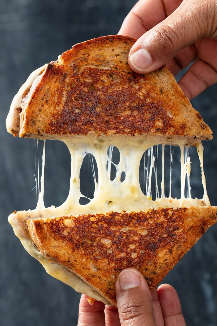 Grown Up Grilled Cheese