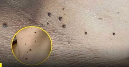 IMAGE ENHANCE DUTCH 202604181830 768x768