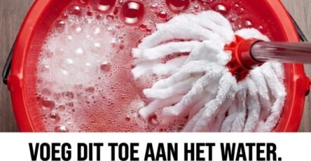 Keep same image 202604190818 768x768