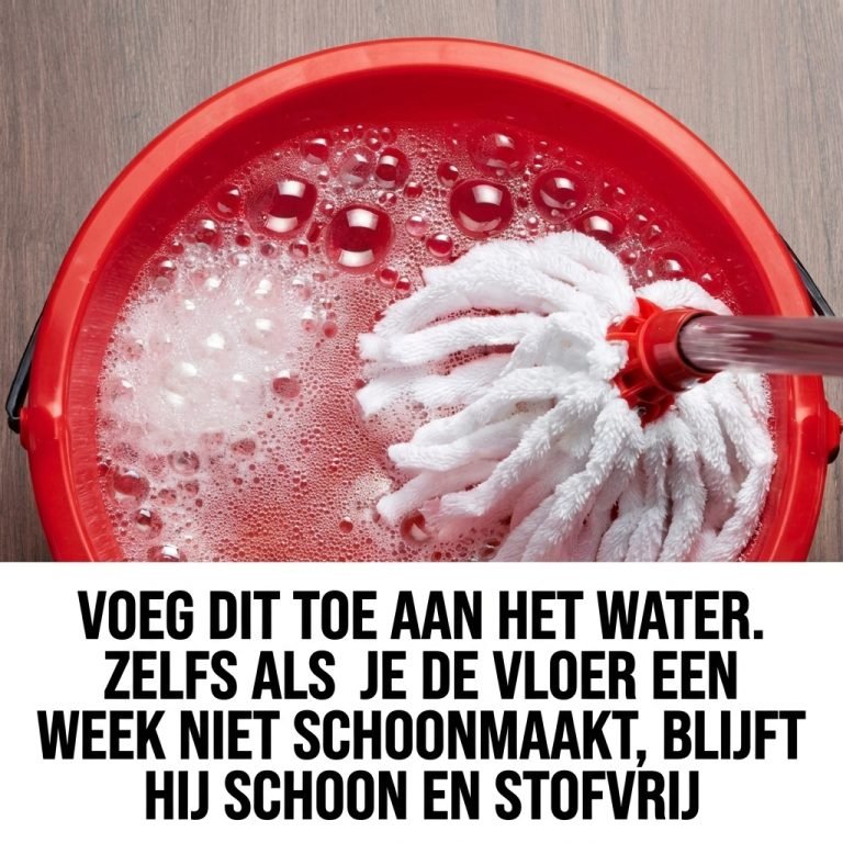 Keep same image 202604190818 768x768