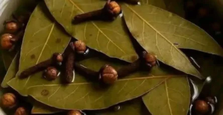 LOxxHyhyxmyRnSuTGYWIhD1eHVVlvXB2Cw5AHykW thumb 20 3 2026 02 04T205823.998 1015x1024