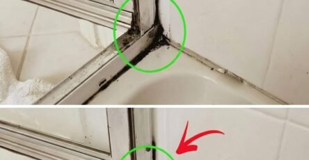 Snelste manier siliconen 202604191647 768x768