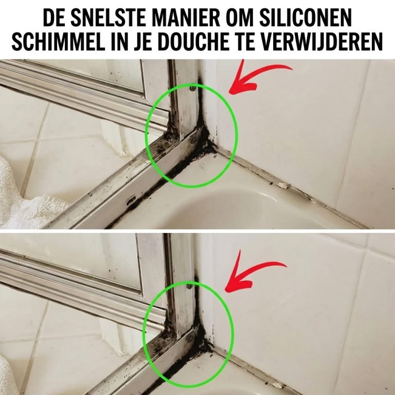 Snelste manier siliconen 202604191647 768x768