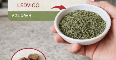 Thiet ke chua co ten 4 24 (1)