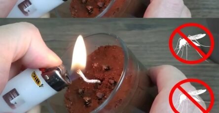 Verjaag muggen insecten 202604191900 768x768