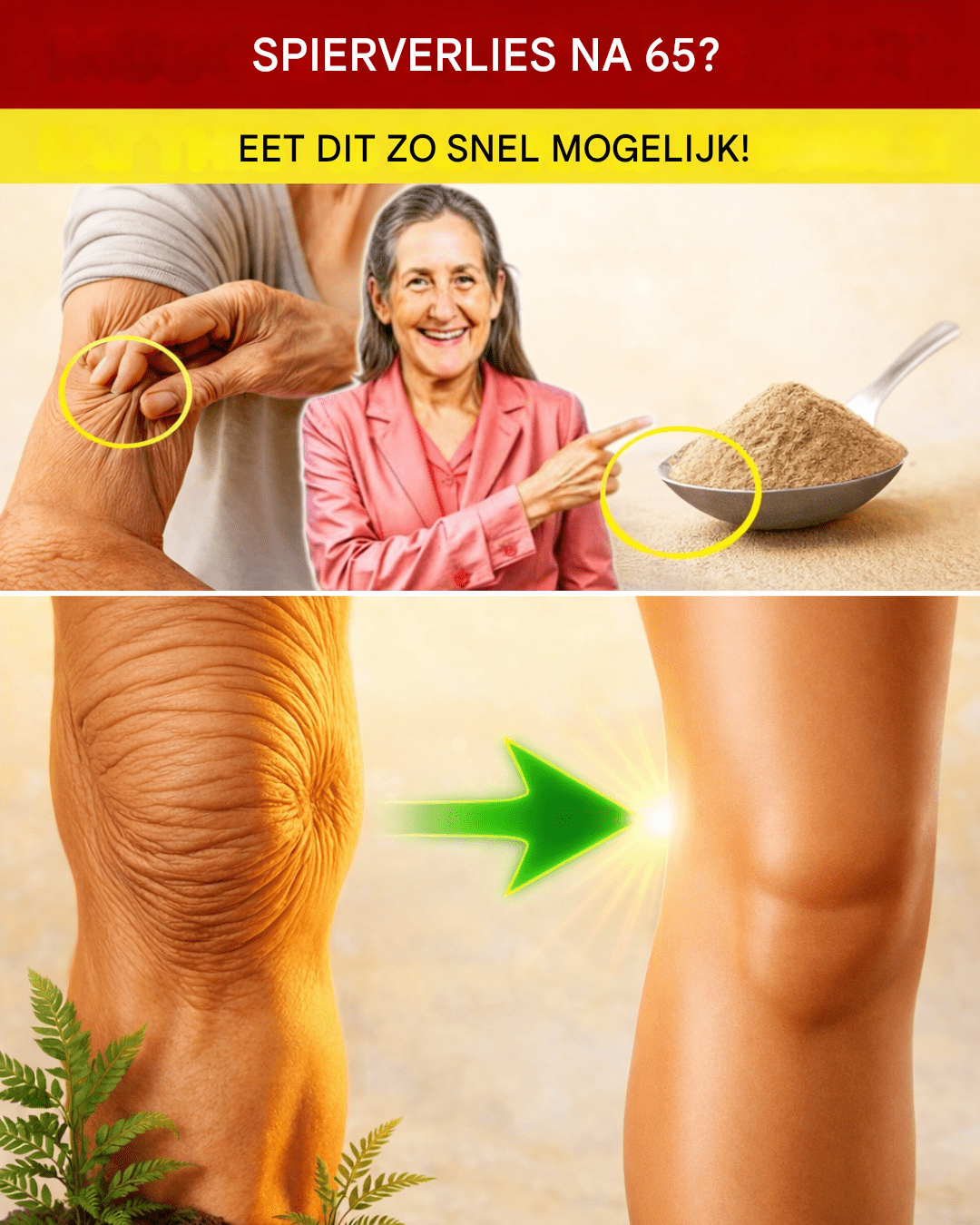 Mexico 2026 01 24T104534.602 (1)