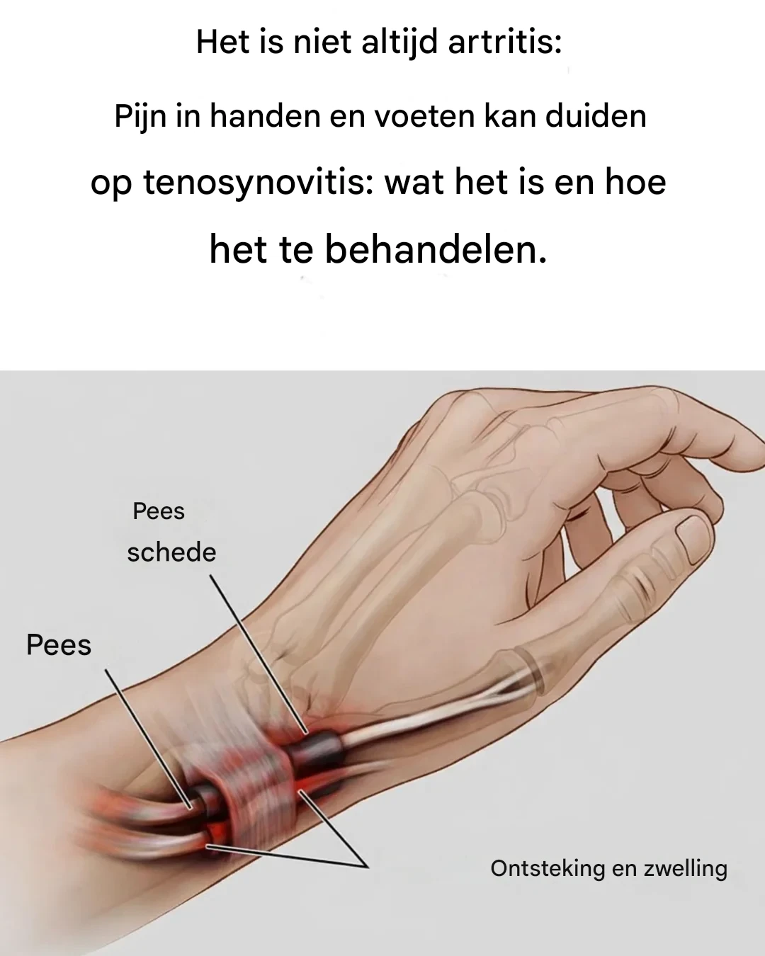 Translated image sl 2026 04 17T142021.973 (1)